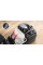 Пилосос Bosch BGB41BA1
